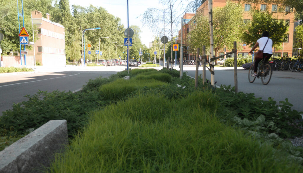 Foto: Stadsmiljö